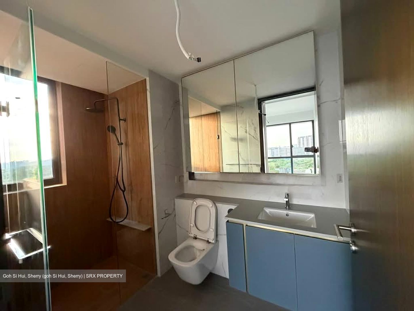 Amo Residence (D20), Apartment #545112211